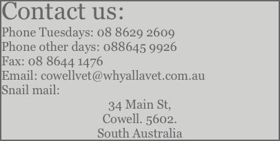 Contact us: