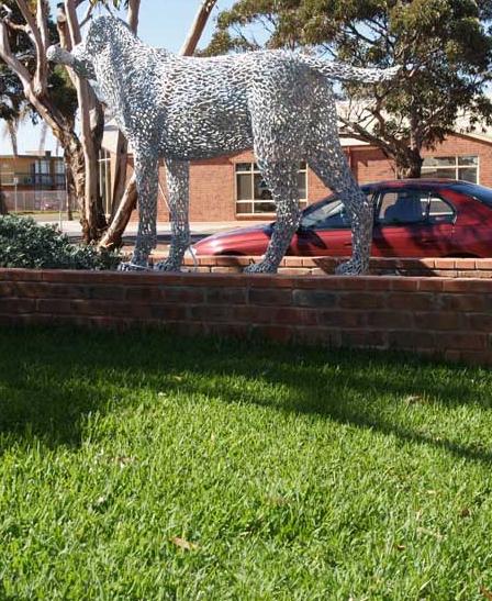 LawnWhyalla