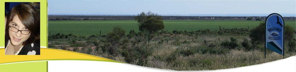 EnvironmentalProjectsBanner