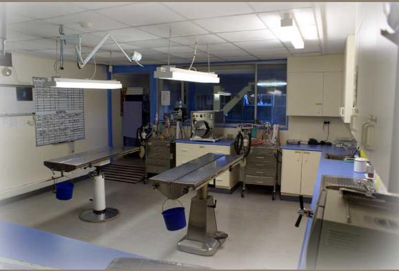 Clinic4