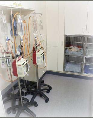 Clinic6