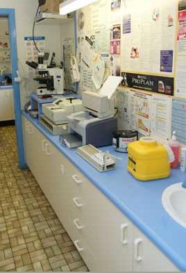 Clinic7